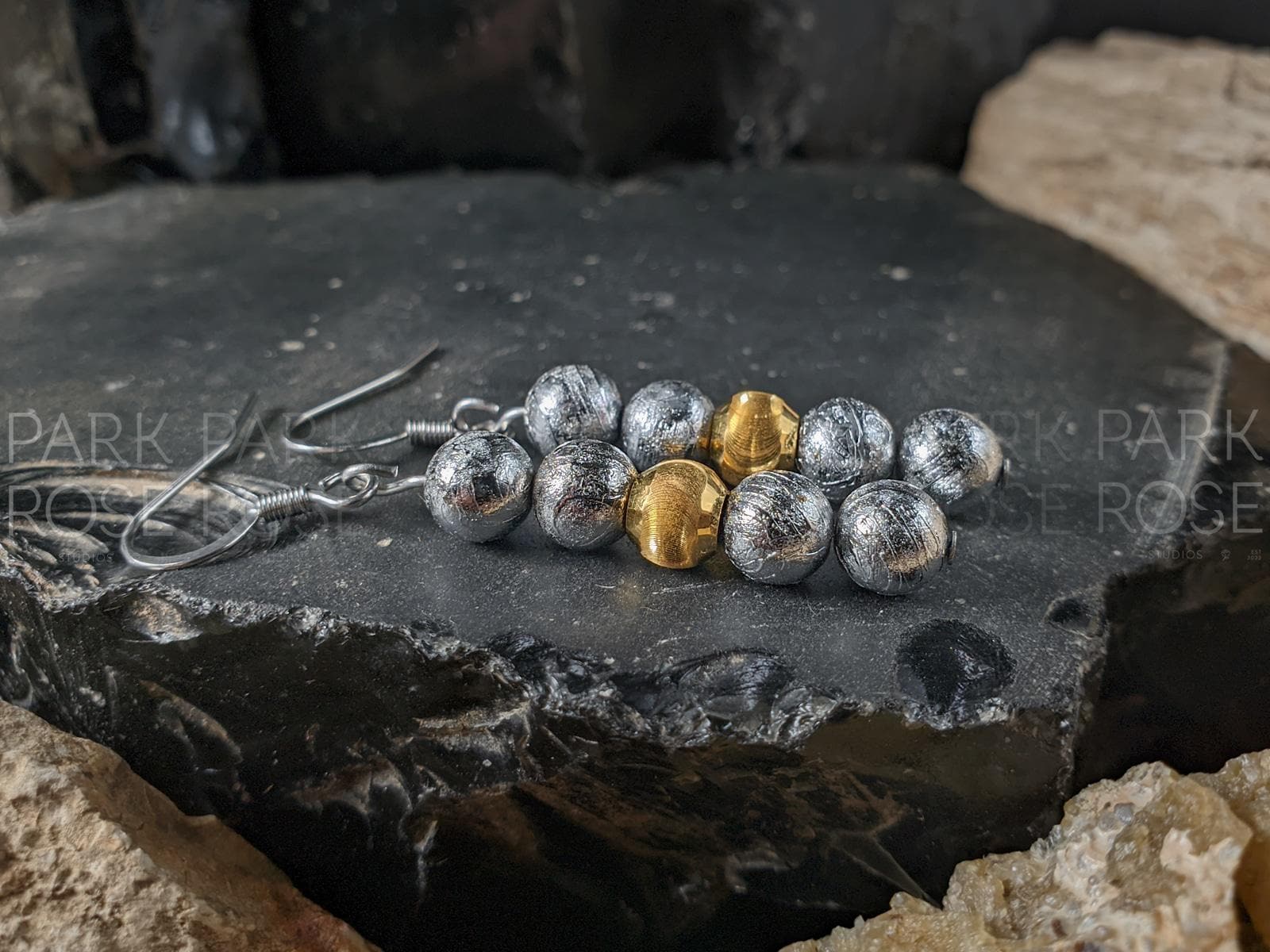 Meteorite Earrings