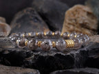 Herkimer Diamond Quartz Bracelet: 24k Gold/Silver Accents (8mm)