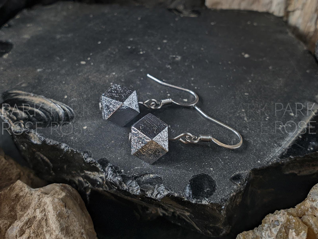 Faceted Gibeon Meteorite Stainless Steel Earrings