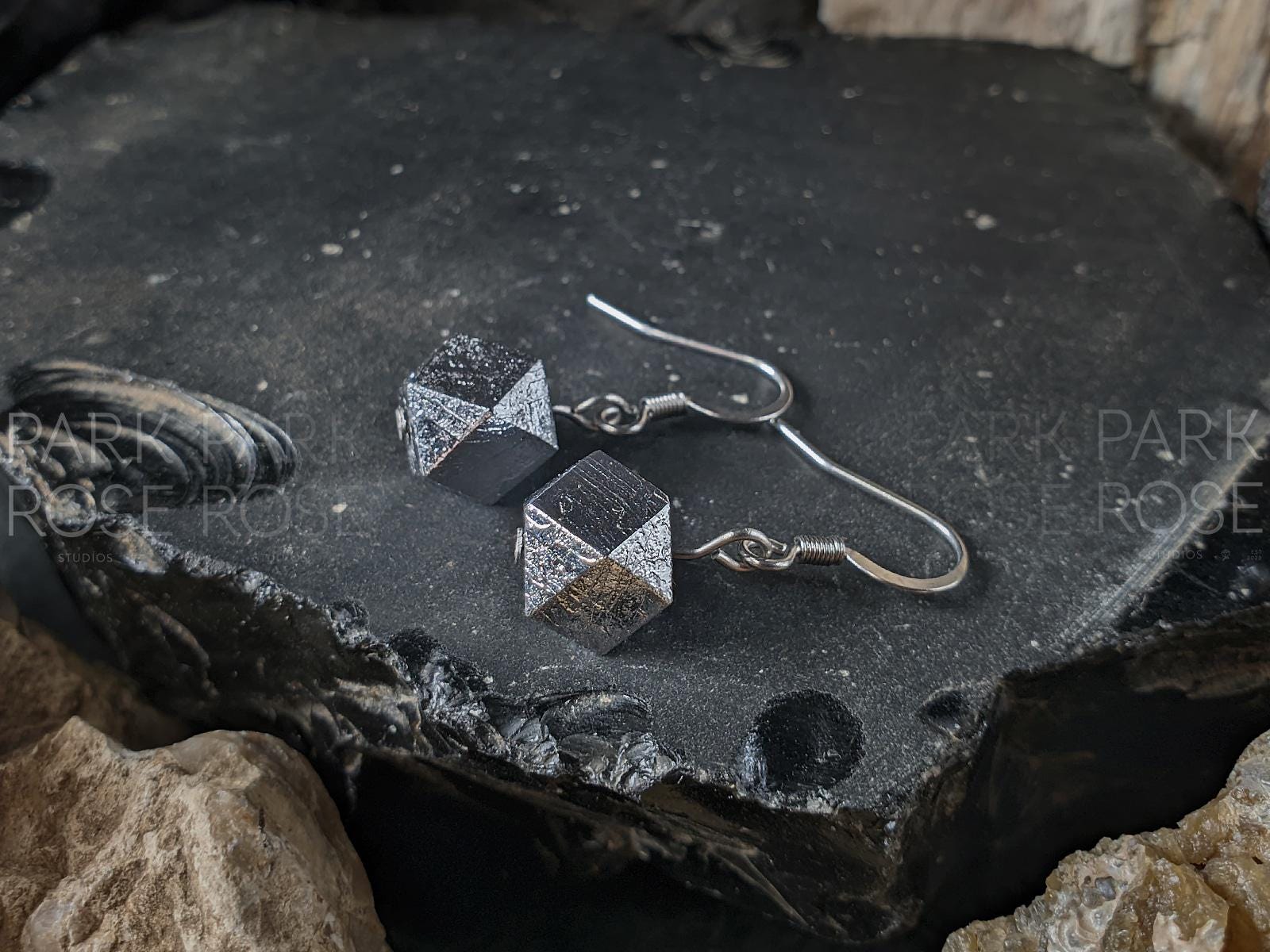 Faceted Gibeon Meteorite Stainless Steel Earrings