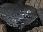 Faceted Gibeon Meteorite Stainless Steel Earrings