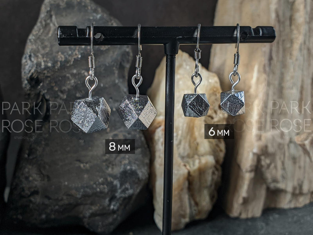 Faceted Gibeon Meteorite Stainless Steel Earrings