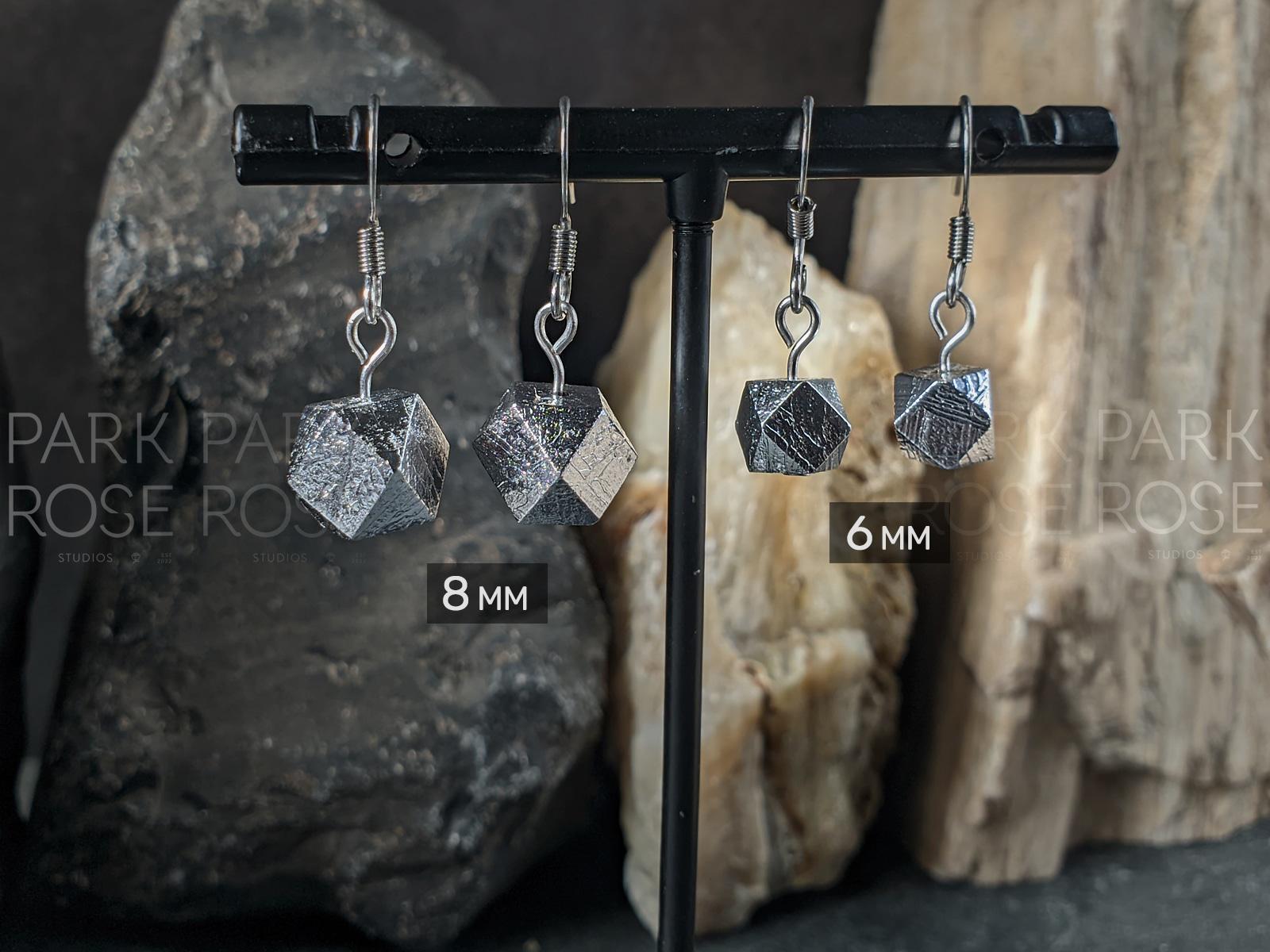 Faceted Gibeon Meteorite Stainless Steel Earrings