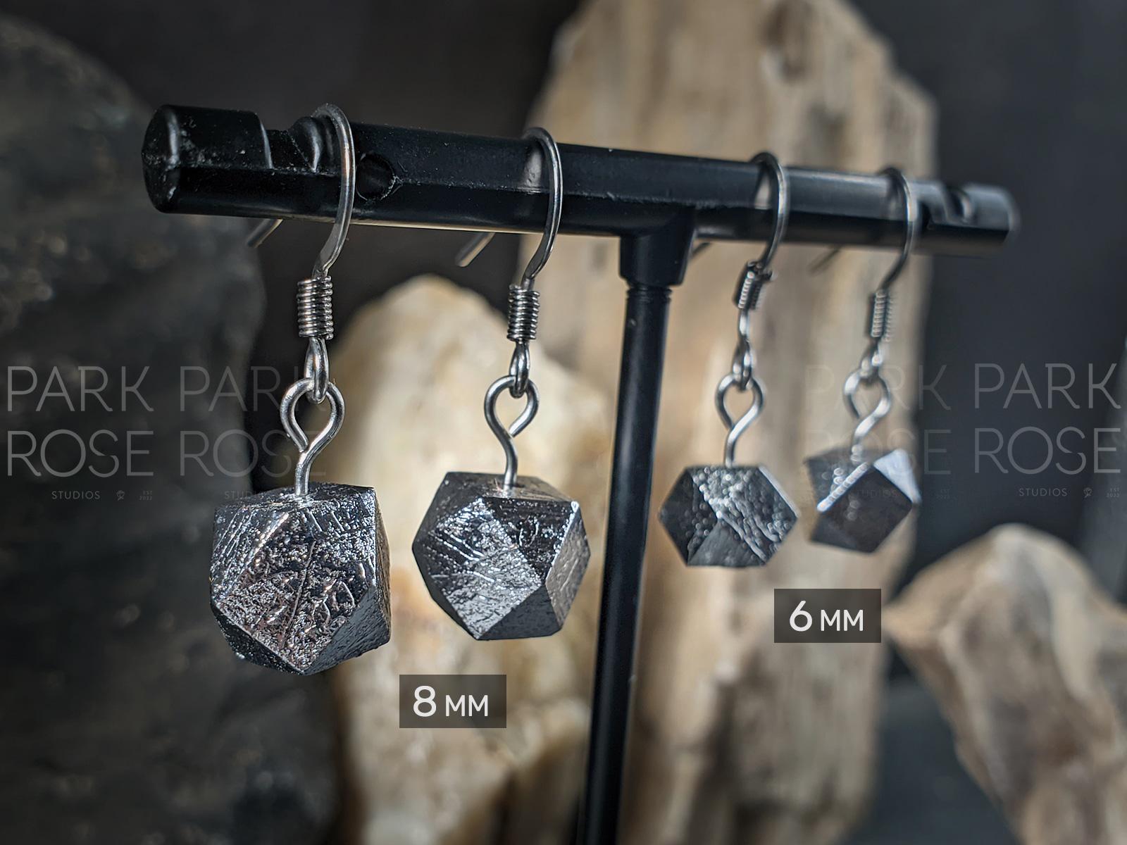 Faceted Gibeon Meteorite Stainless Steel Earrings