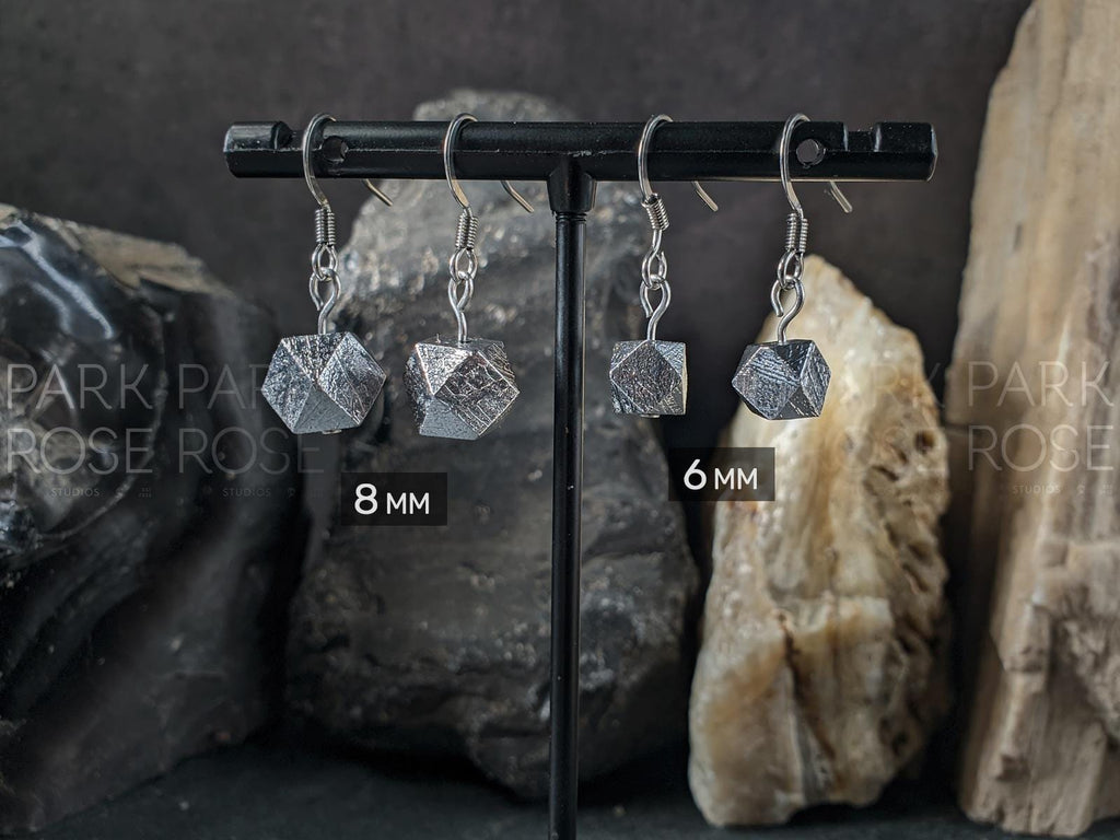 Faceted Gibeon Meteorite Stainless Steel Earrings