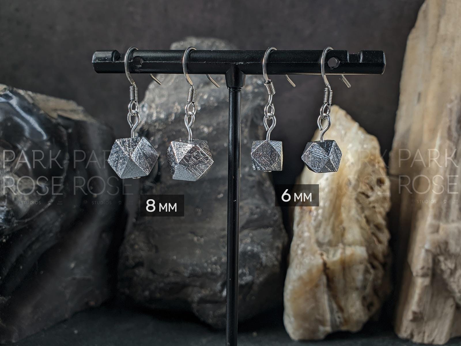Faceted Gibeon Meteorite Stainless Steel Earrings