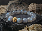 Madagascar Flash Labradorite Bracelet: 24K Gold Cat Eye Bead, (8/10mm)