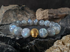 Madagascar Flash Labradorite Bracelet: 24K Gold Cat Eye Bead, (8/10mm)