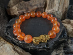 AAA Natural Brazil Carnelian Pixiu Bracelet (12mm)