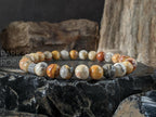 Natural Crazy Lace Agate Gemstone Bracelet (6/8/10mm)