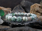 Tree Agate Bracelet (6/8/10mm)
